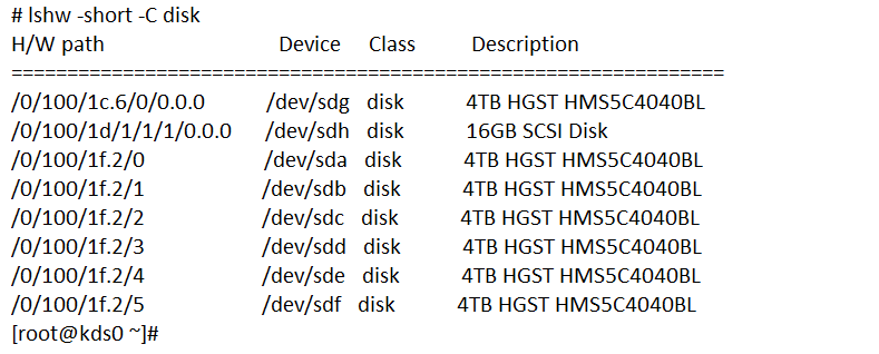пример использования команды lshw -short -C disk