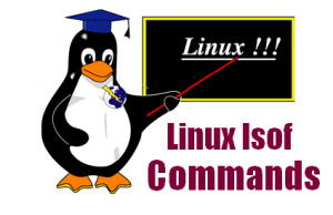 Linux-lsof-Commands
