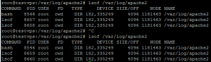 lsof /var/log/apache2
