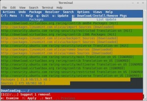 Aptitude GUI mode обновление пакетов