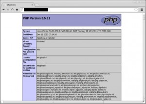 PHP 5.5.11