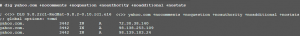 dig yahoo.com +nocomments +noquestion +noauthority +noadditional +nostats
