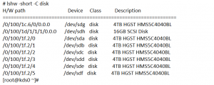 пример использования команды lshw -short -C disk
