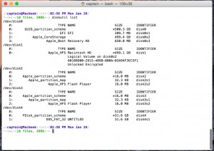 diskutil list