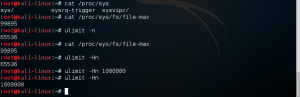ulimit в Kali Linux