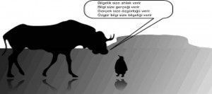Утилита tr в Unix/Linux