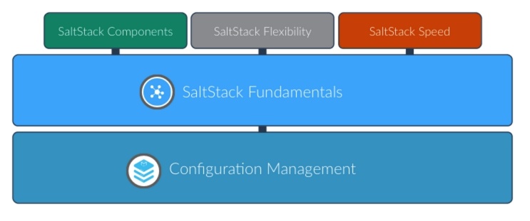 Saltstack. Saltstack web. Salt Stack Linux.